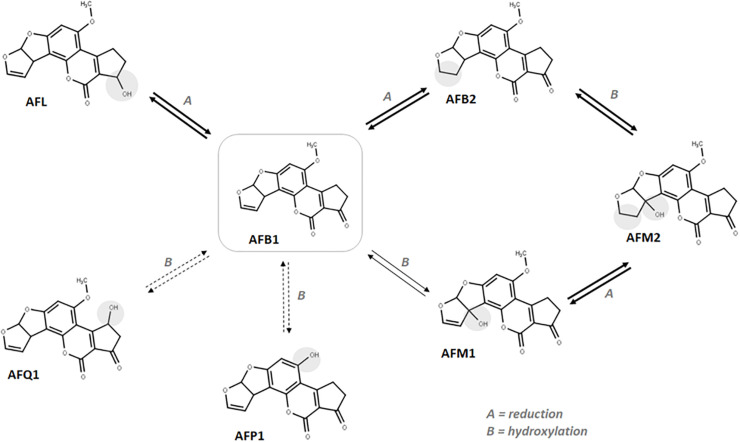 FIGURE 3