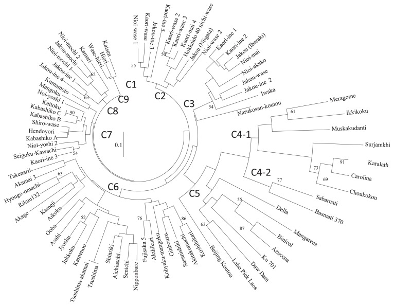 Fig. 2