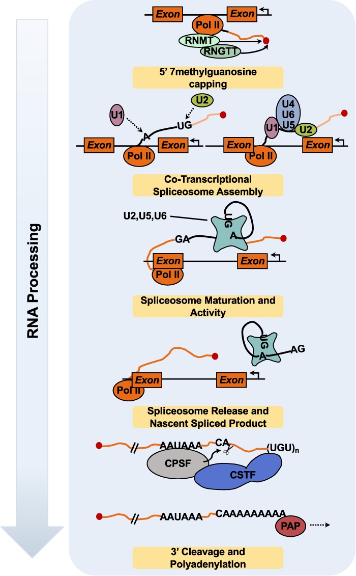 Figure 7.