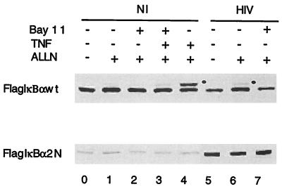 FIG. 5