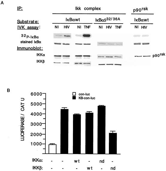 FIG. 6