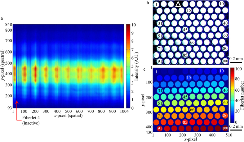 Figure 10