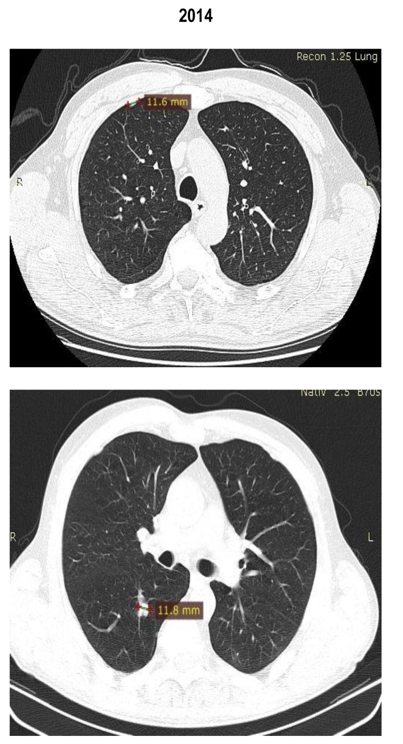 Fig. 8