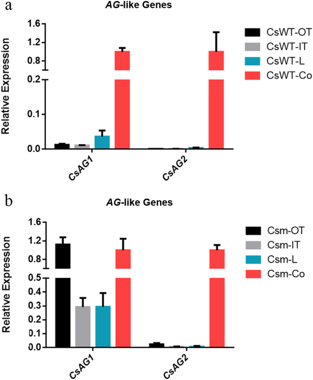 Fig. 4