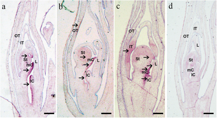 Fig. 5