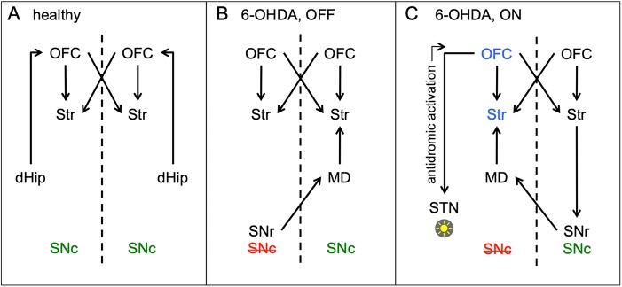 Fig. 4.