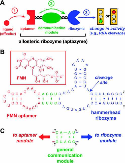 FIGURE 2.