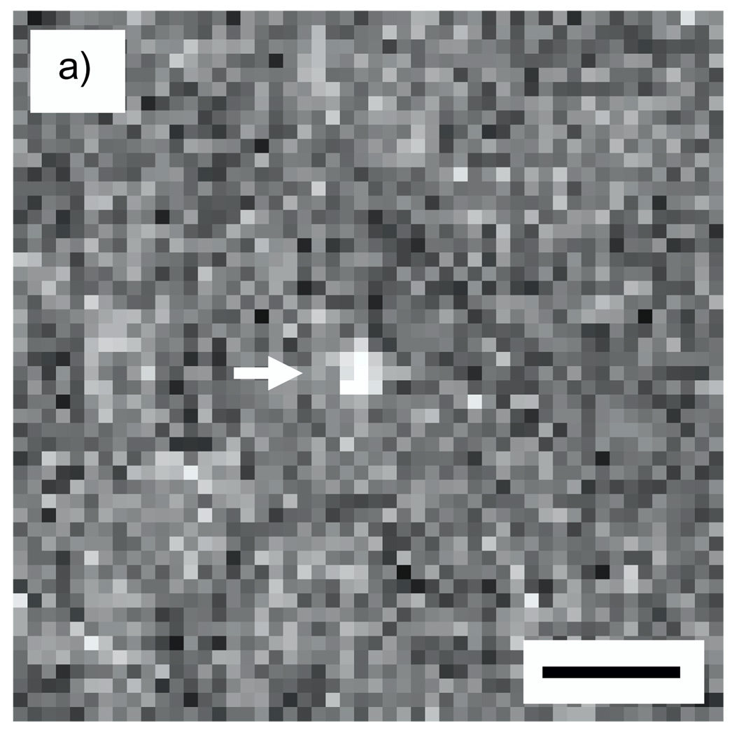 Fig. 5