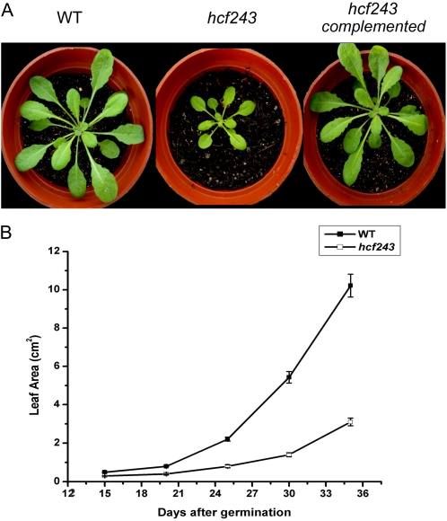 Figure 1.