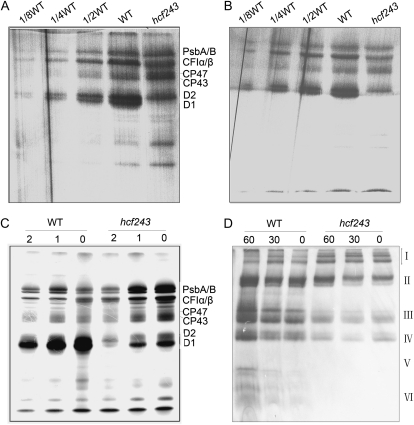 Figure 6.