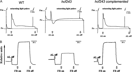 Figure 2.