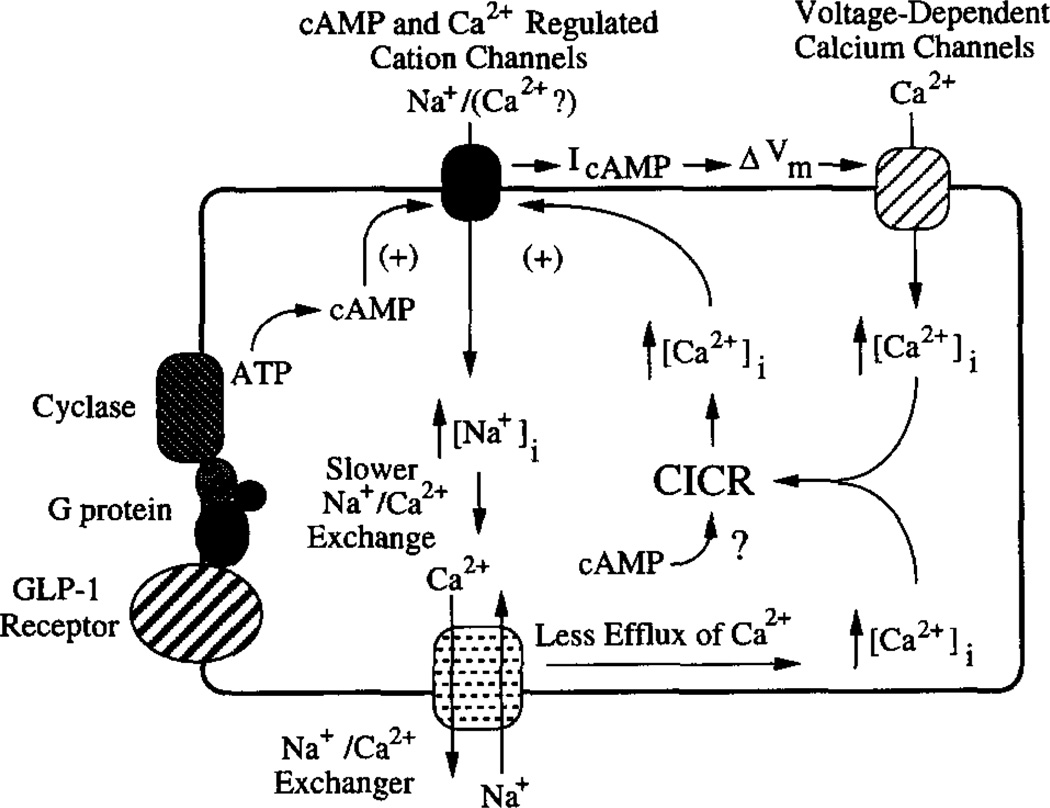 Fig. 9