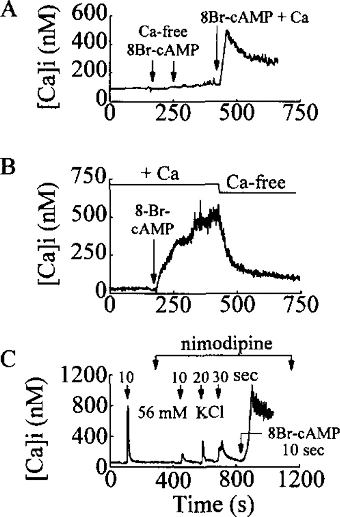 Fig. 4