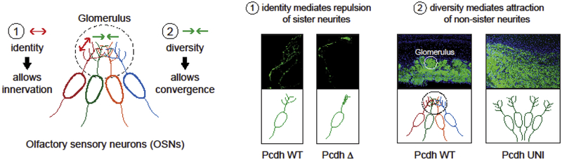 Figure 2: