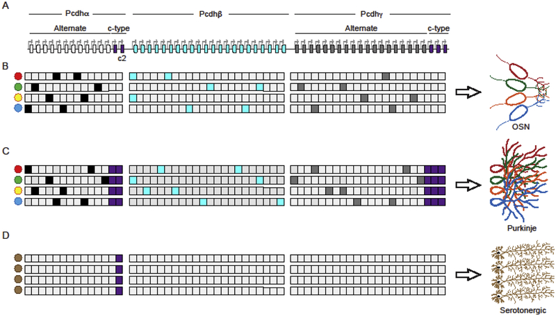 Figure 1: