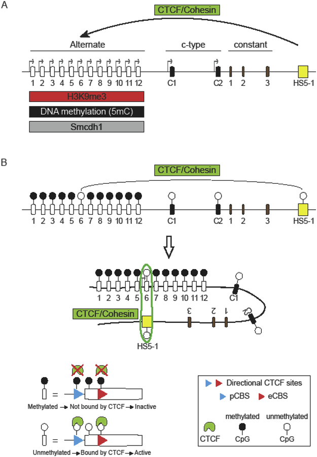 Figure 3: