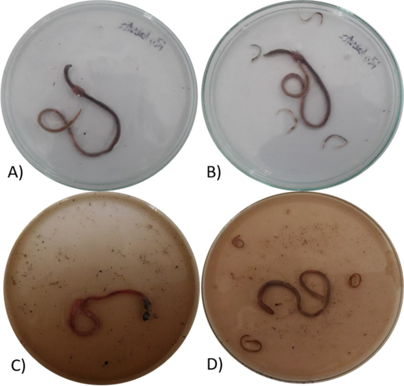 Fig. 15