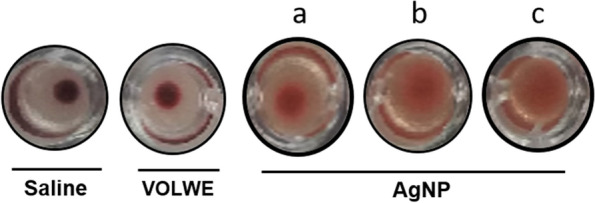 Fig. 16