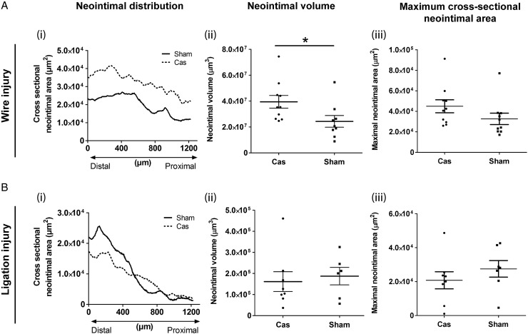 Figure 6