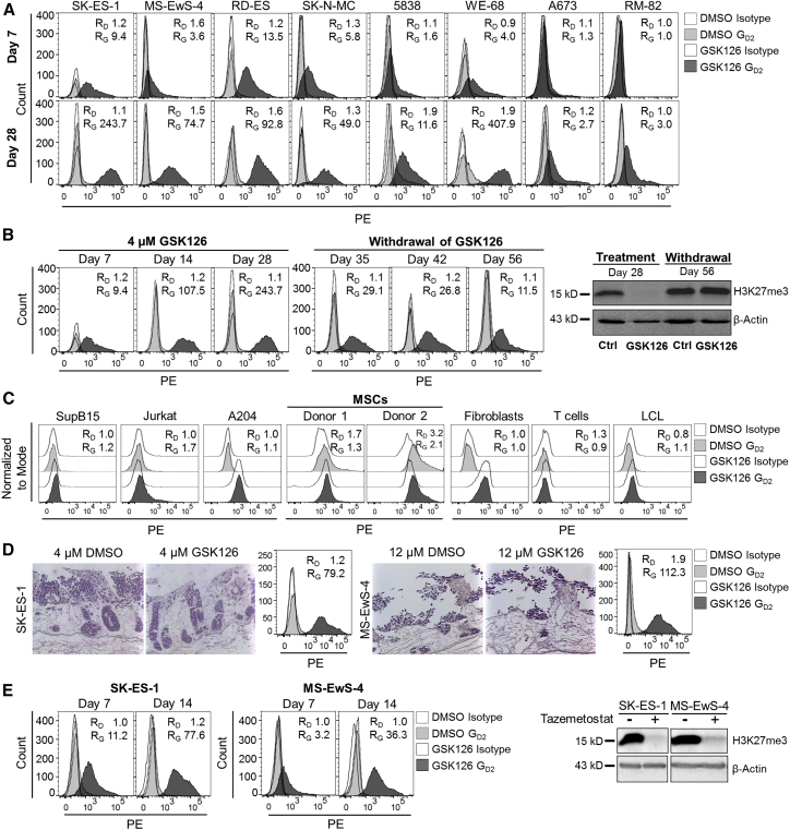 Figure 2