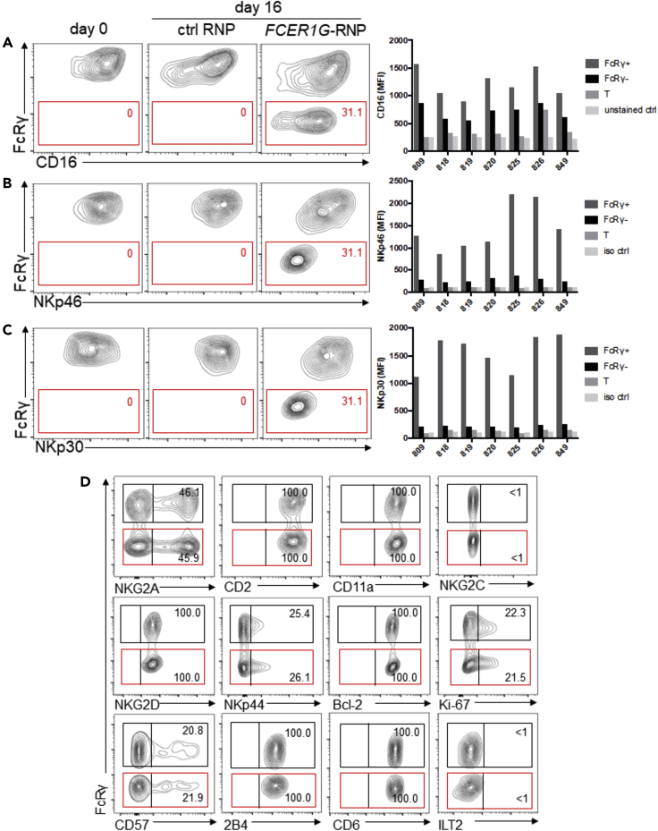 Figure 3