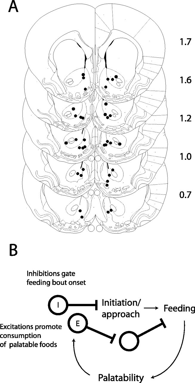 
Figure 9.
