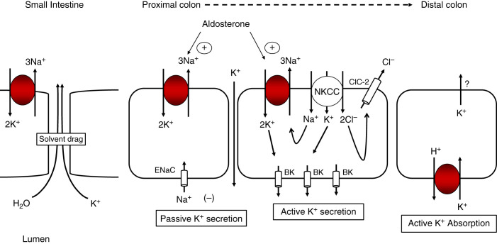 Figure 3.