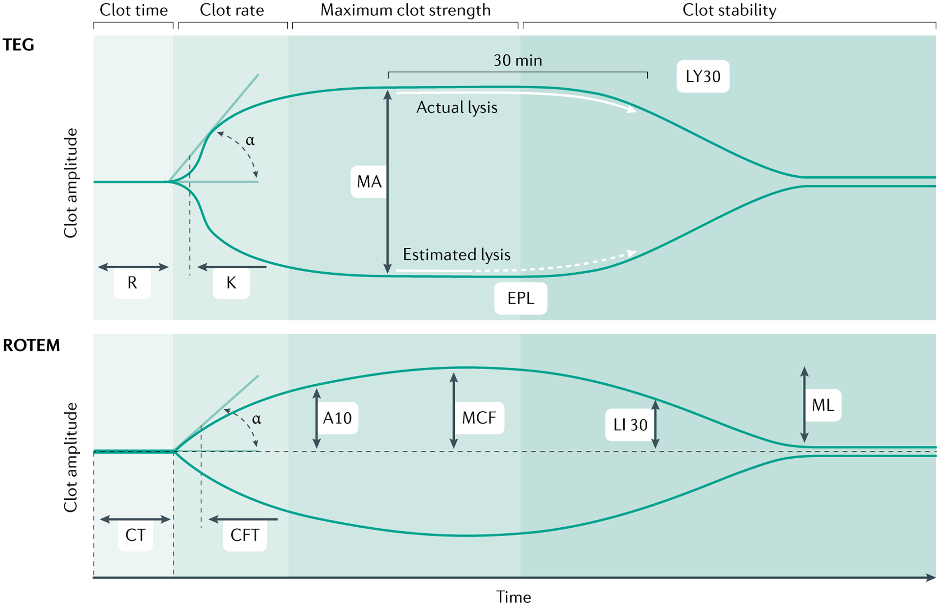 Fig. 6 |