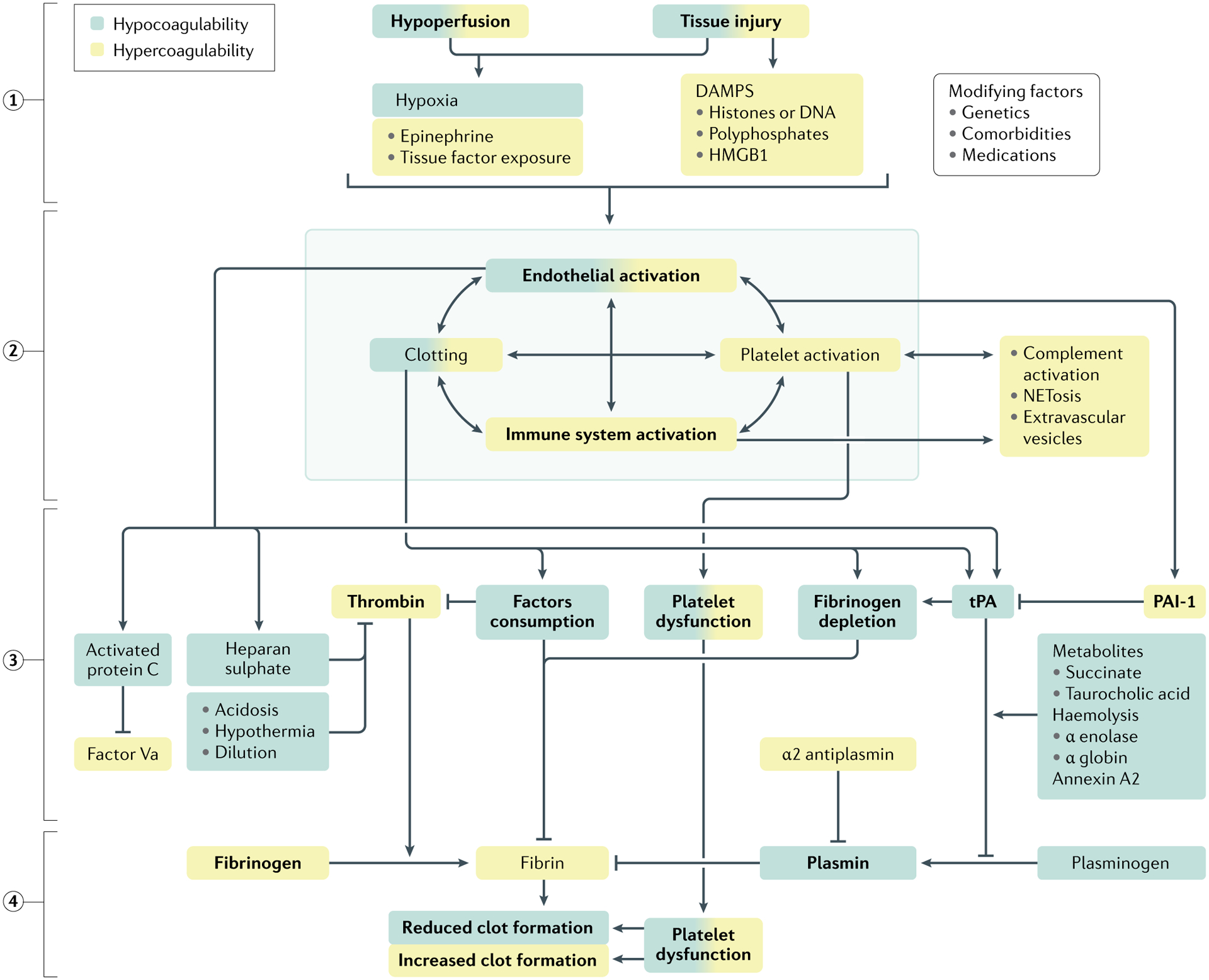 Fig. 2 |