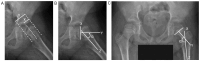 Figure 1