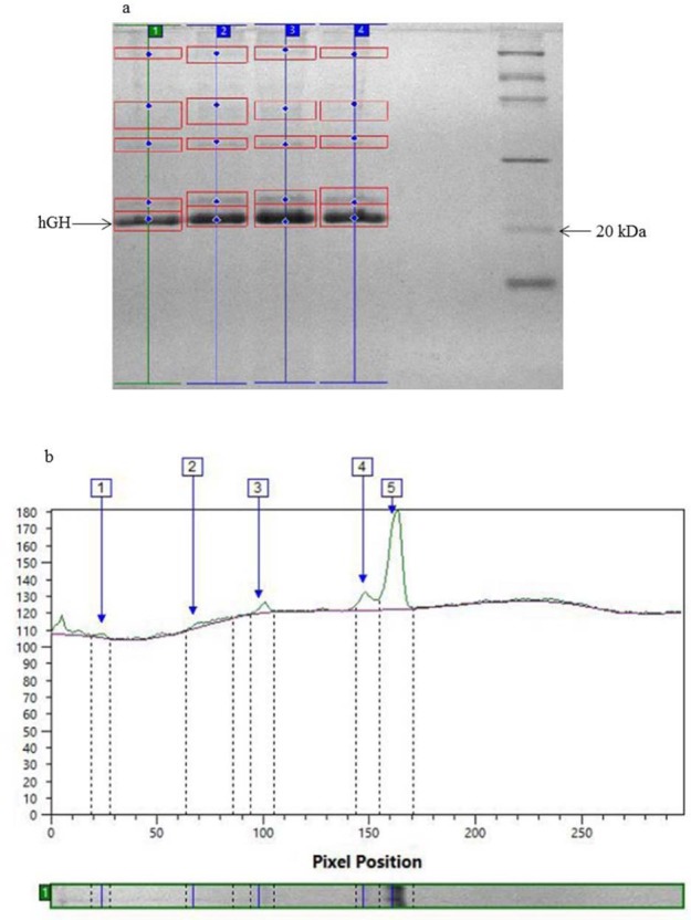 Figure 5