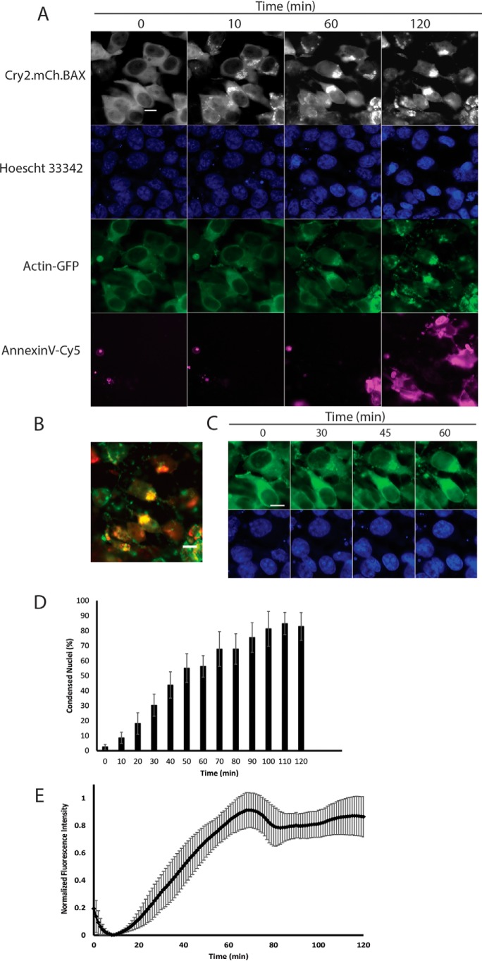 Figure 3.