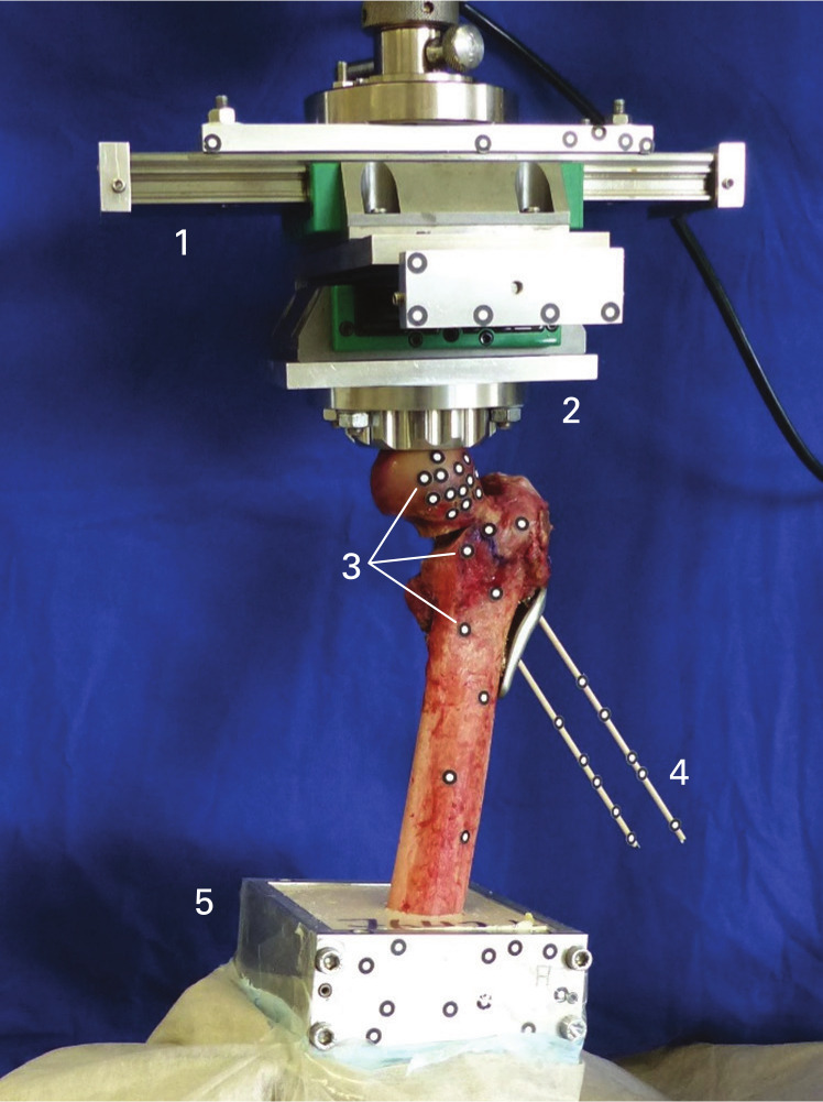 Fig. 2