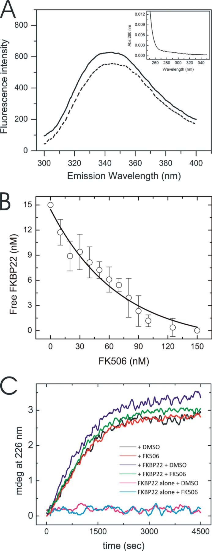 FIGURE 5.