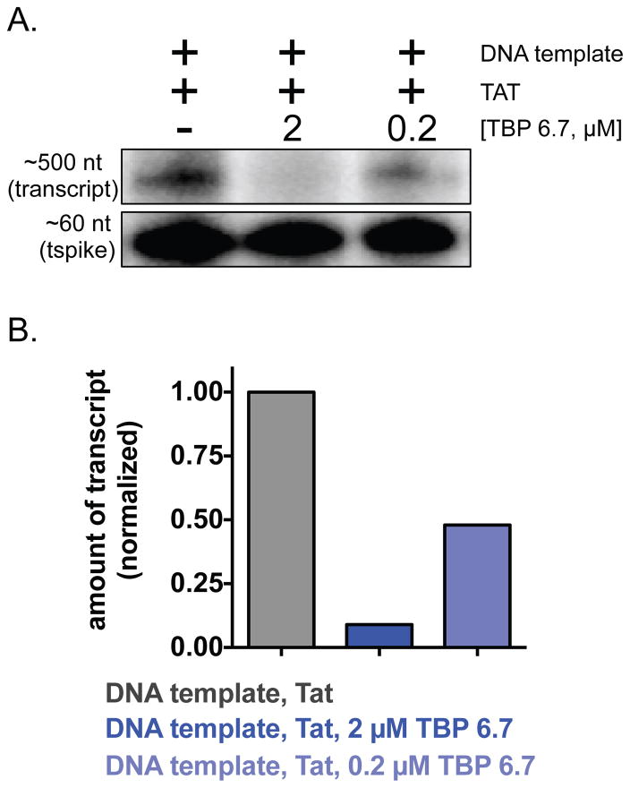 Figure 6