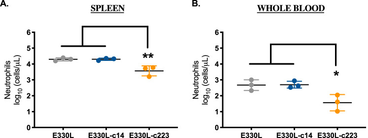 FIG 13