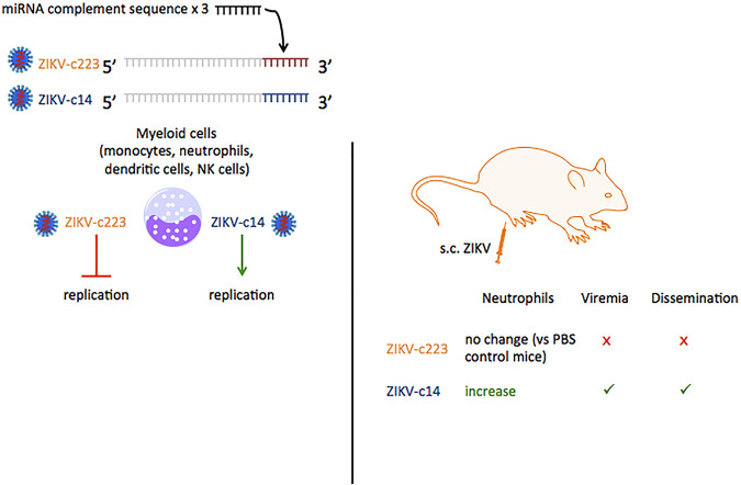 FIG 16