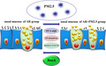 graphic file with name JCLA-36-e24316-g007.jpg