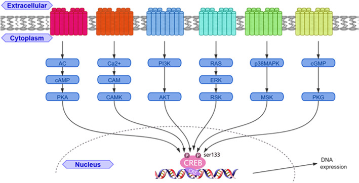 FIGURE 1