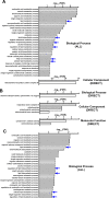 Figure 5—figure supplement 2.