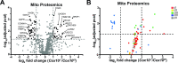 Figure 5—figure supplement 3.