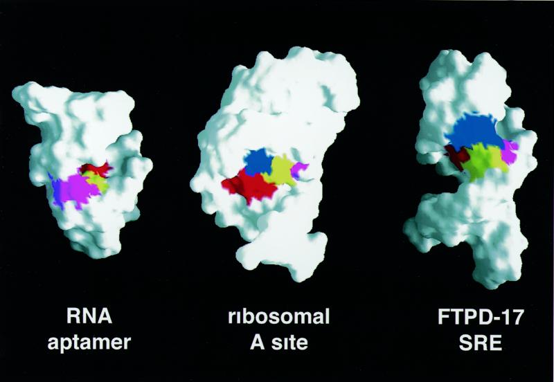 Figure 8