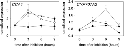 Figure 7.