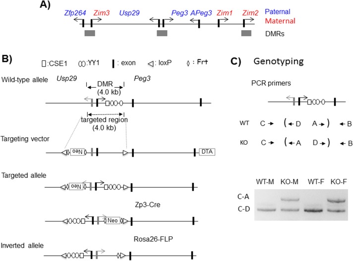 Fig 1