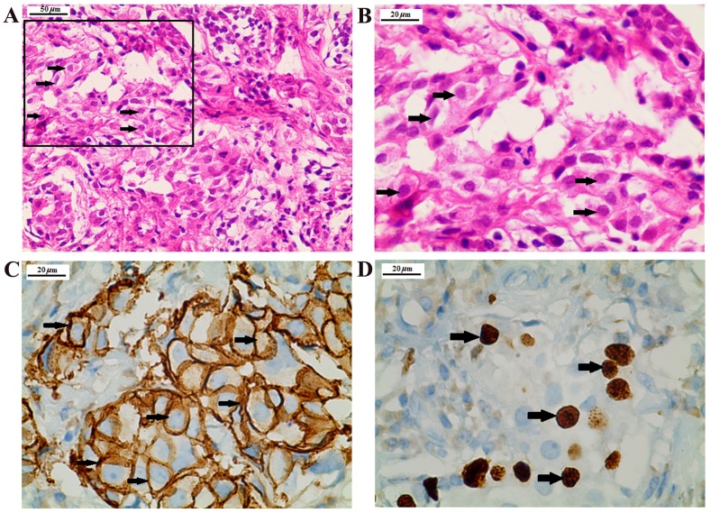 Figure 2.