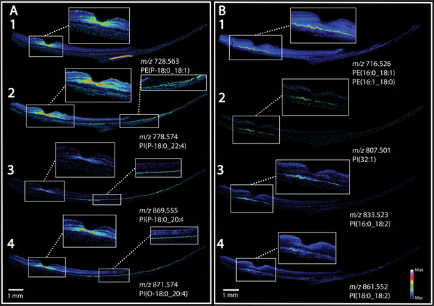 Figure 4.