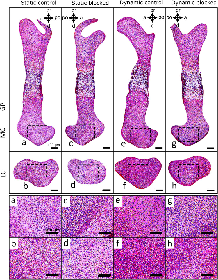 Fig. 9.