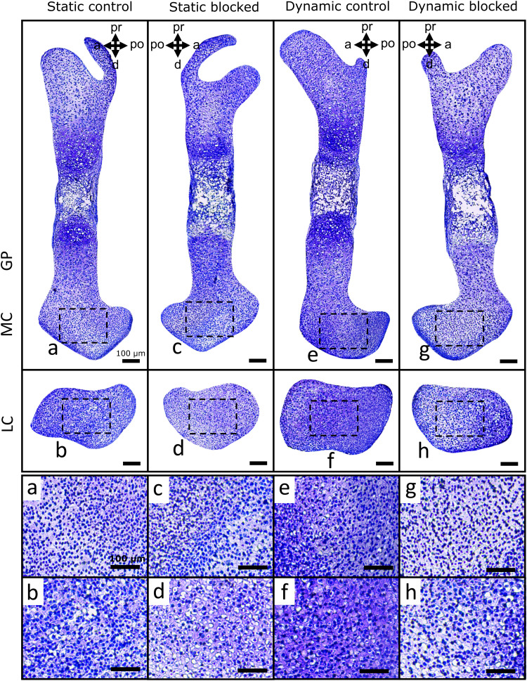 Fig. 8.