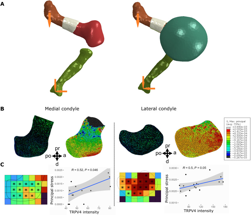 Fig. 4.