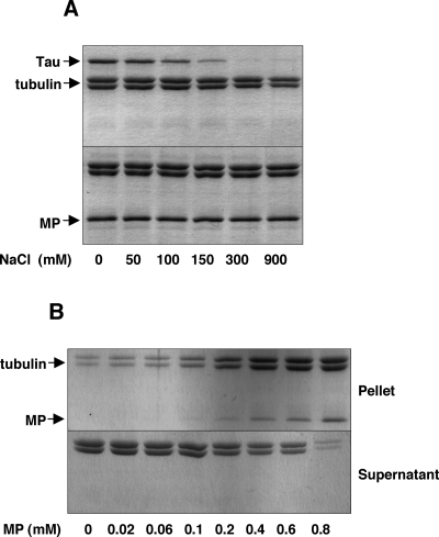 FIG. 5.